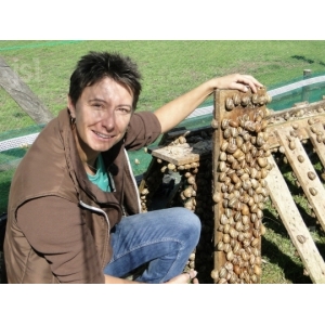 L'escargot Morvandiau