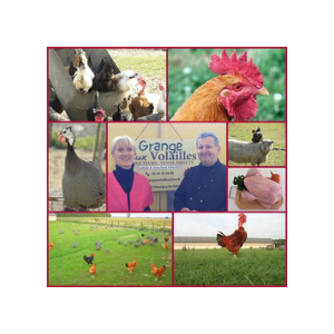 Earl La Grange Aux Volailles