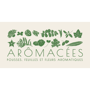 Arômacées
