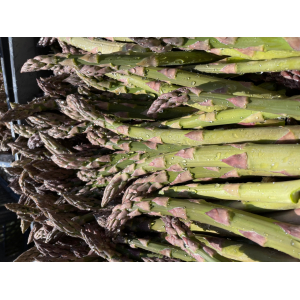 Asperges Vertes De Saint-lupien