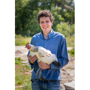 Des Poules Et Des Vignes à Bourgueil