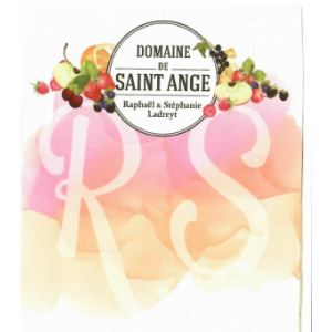 Domaine De St Ange