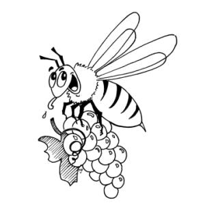 Domaine Nicolas Raspiller