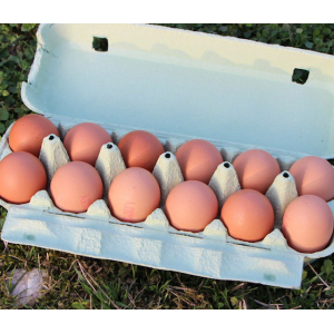 Earl Belliard Julien