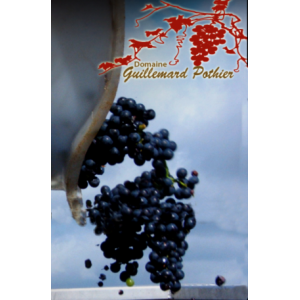 Earl Guillemard-pothier