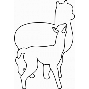 Elevage Des Alpagas De  La Tille