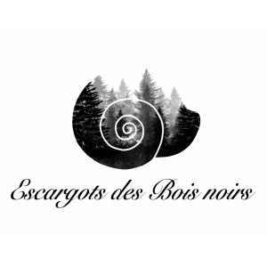 Escargots Des Bois Noirs