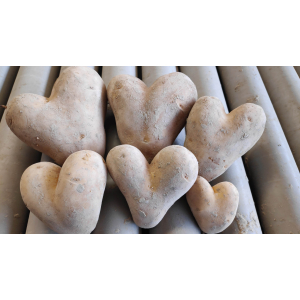 Ferme De La Collière