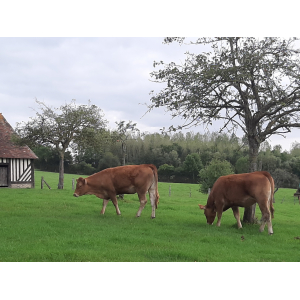 Ferme De La Longchanterie - Stephan