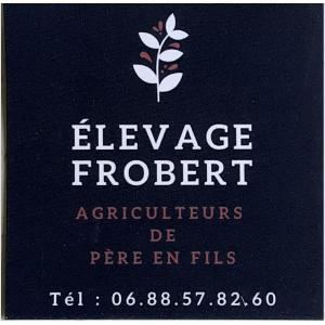 Frobert Sylvain