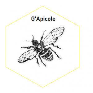 G'apicole - Les Ruches De La Courtavaux