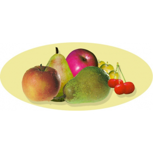 Gaec De La Reverdie Topin Fréres