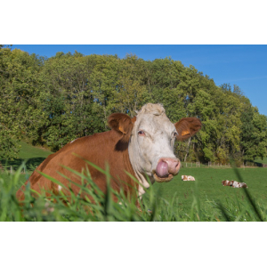 Gaec La Ferme Du Val