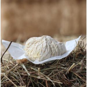 Gaec Le Champ De Rome