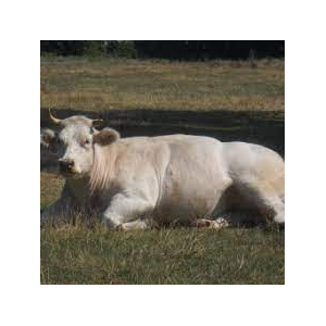 Gaec Parrain Père Et Fille