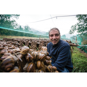 L'escargot Du Florival