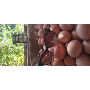 L'hortellerie Planteureuse