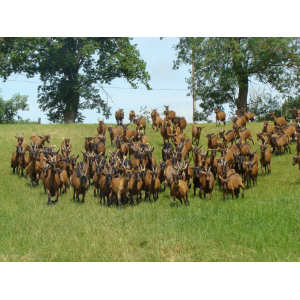 La Chevrerie Du Bourg