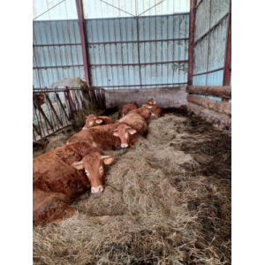 La Ferme De Montenot