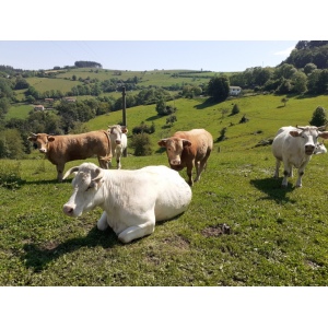 La Ferme Du Berthier