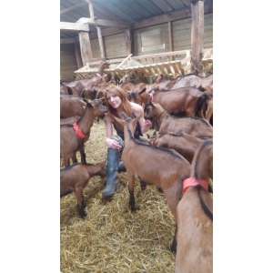 La Fromagerie Un Amour De Chèvre