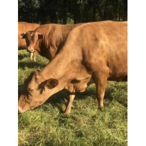 Earl La Ferme De La Beucherie