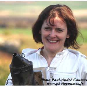 La Ruche Des Volcans