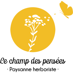 Le Champ Des Pensées