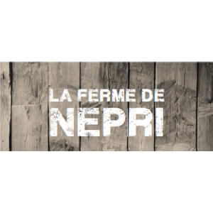 Le Grenier De Népri