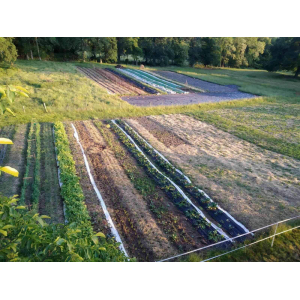 Le Jardin Des Corres