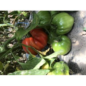 Le Jardin Des Saveurs