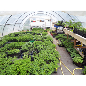 Le Jardin Du Bardérou