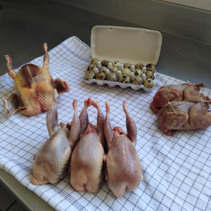 Le Pigeonnier Arverne