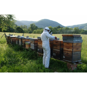 Le Rucher De Bastien