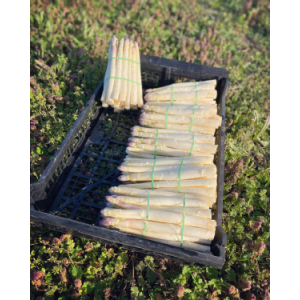 Les Asperges Du Grand Chemin