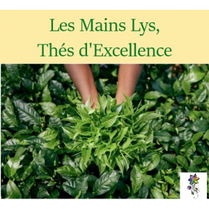Les Mains Lys