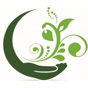 Les Merveilles De Domi