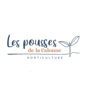 Les Pousses De La Calonne