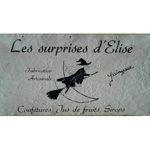 Les Surprises D'elise