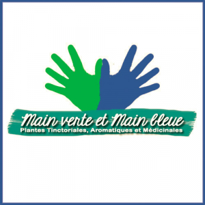 Main Verte Et Main Bleue