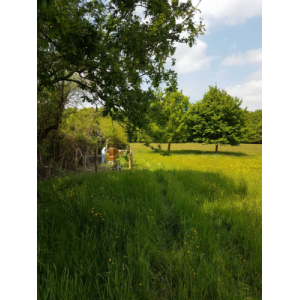 Miel Rucher Des Maubets Sandrine Leduc