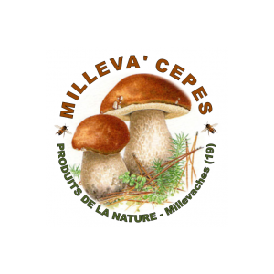 Milleva' Cèpes