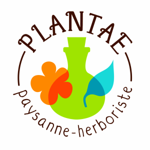 Plantae