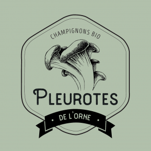 Pleurotes De L'orne