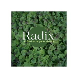 Radix