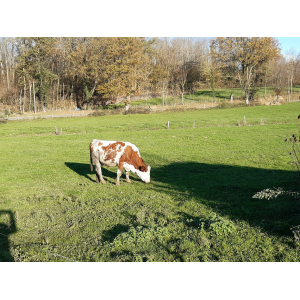 Reverdy Sarl Du Couant