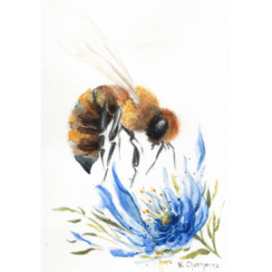 Rucher De La Forterre