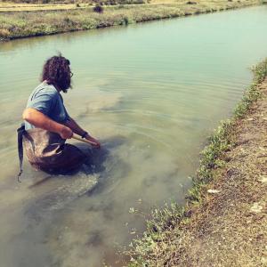 Sarl Courdavault Alain Et Fils