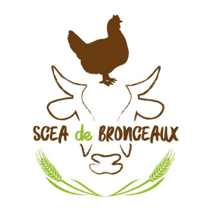 Scea De Bronceaux