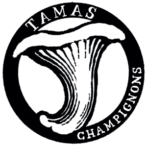 Tamas Champignons